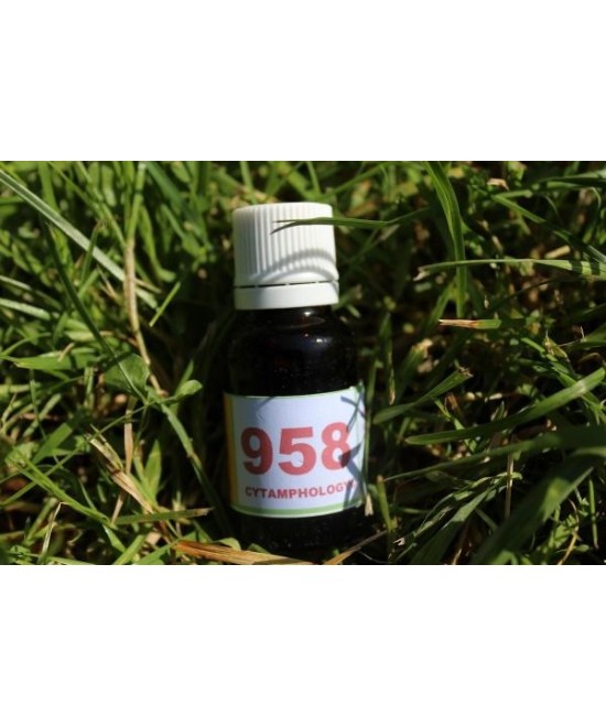 958 Fourbure du cheval.