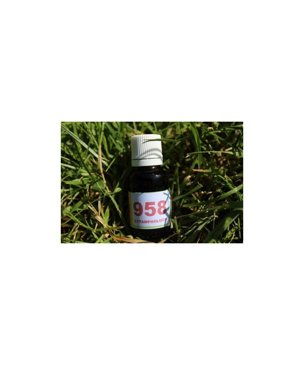 958 Fourbure du cheval.