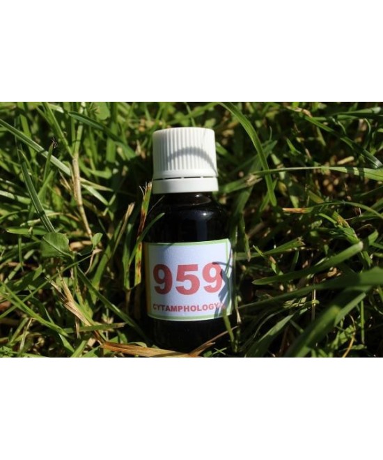 959 Arthrite septique du poulain.