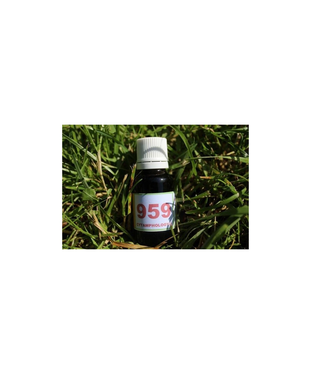 959 Arthrite septique du poulain.