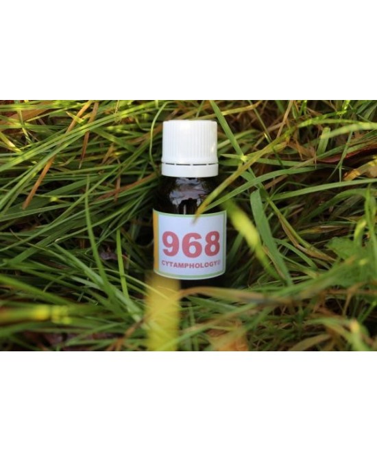 968 Cushing pour les chevaux.