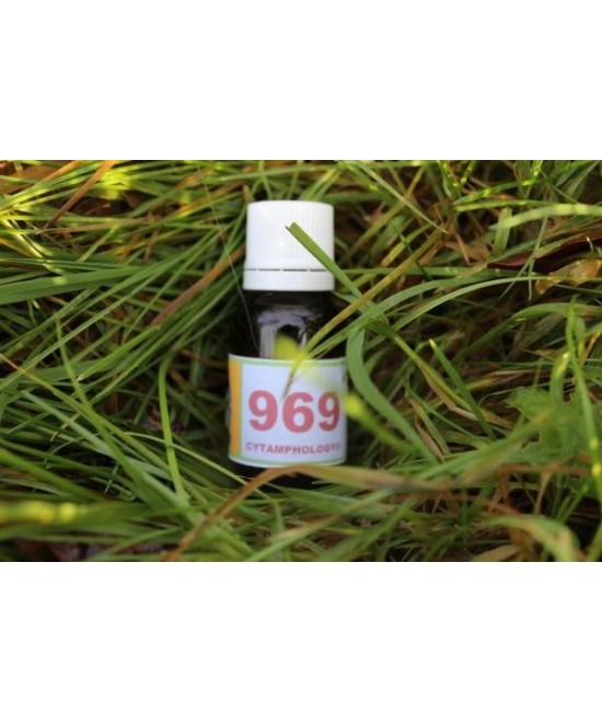 969 Syndrome métabolique équin.