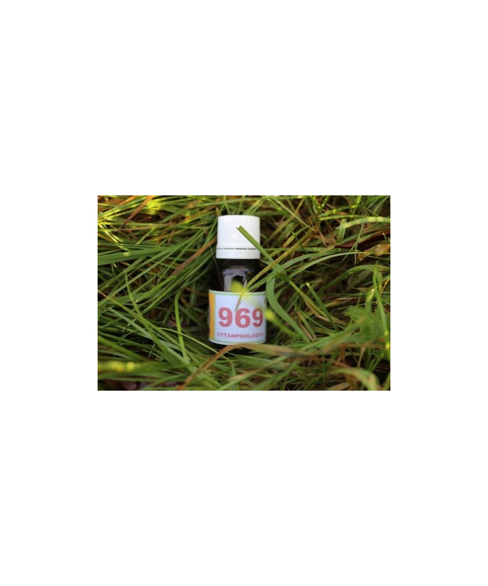 969 Syndrome métabolique équin.