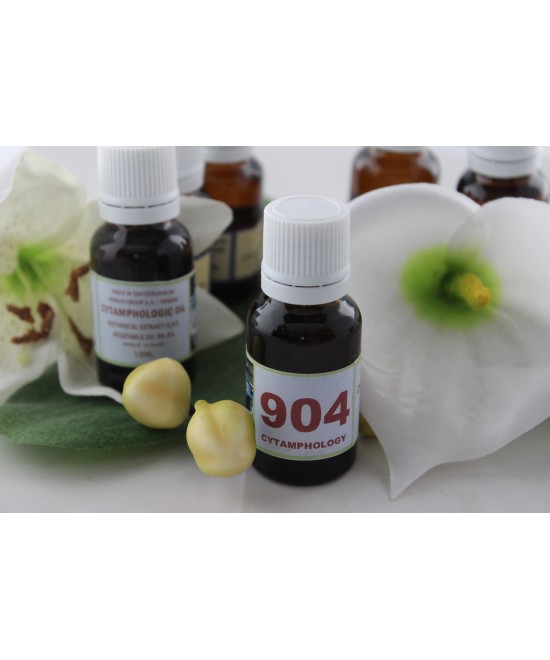 904 Piqûres d'insectes volants pour les animaux.