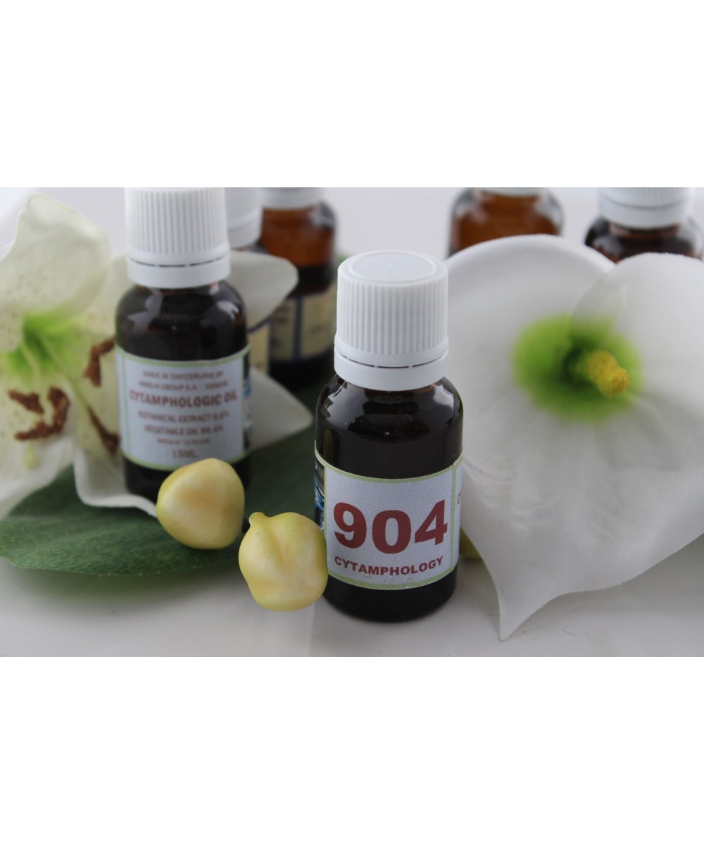 904 Piqûres d'insectes volants pour les animaux.