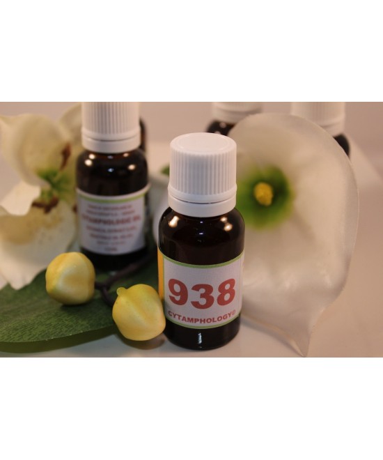 938 Infection due à une blessure ou un abcès purulent pour les animaux.