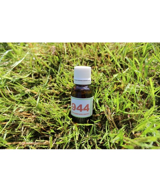 944 Anti-viral (ARN) pour les animaux.