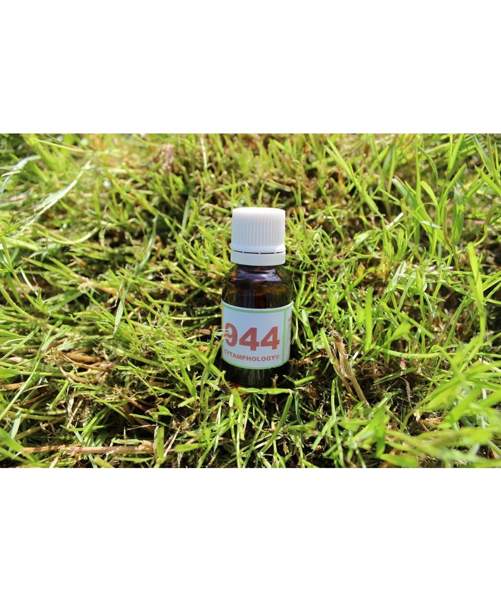 944 Anti-viral (ARN) pour les animaux.