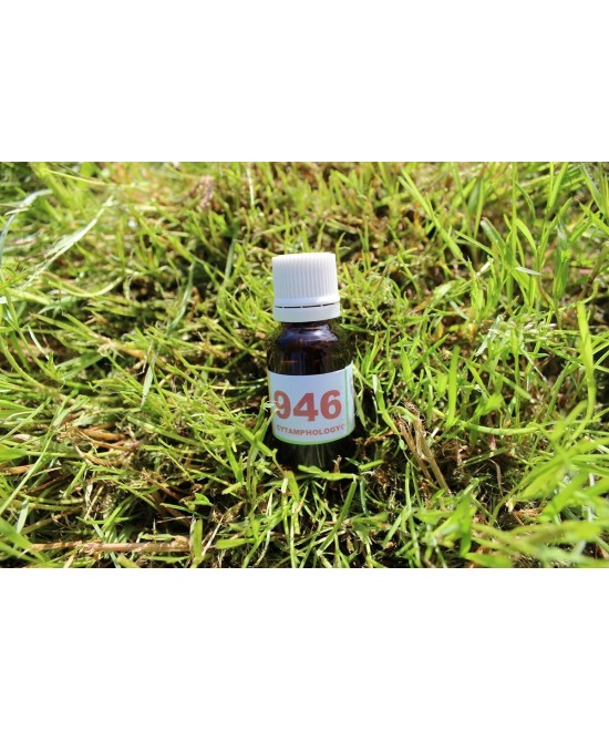 946 Insuffisance rénale (filtration glomérulaire) pour les animaux.