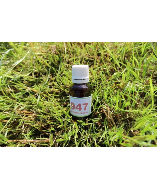 947 Lithiases (rénales ou biliaires) pour les animaux.