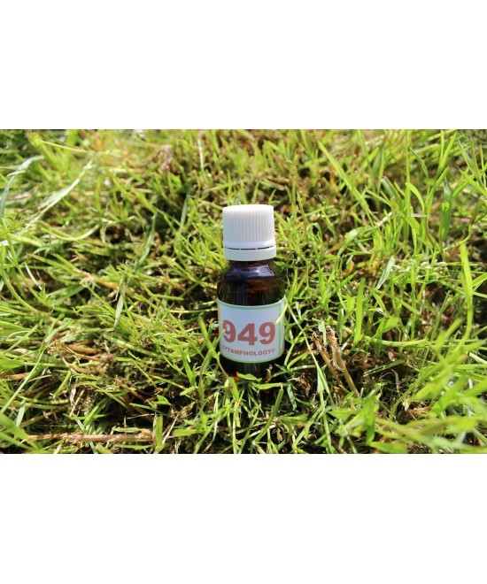 949 Tendinopathie (tendons douloureux) pour les animaux.