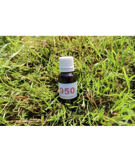 950 Ulcères (estomac...) pour les animaux.