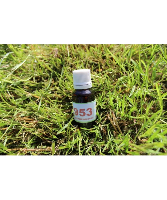 953 Système locomoteur pour les animaux.