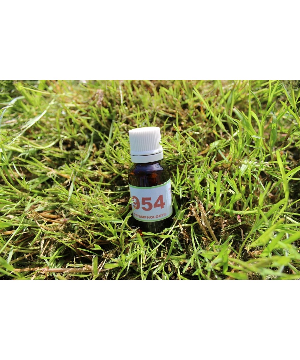 954 Equilibre des hématies (globules rouges) pour les animaux.