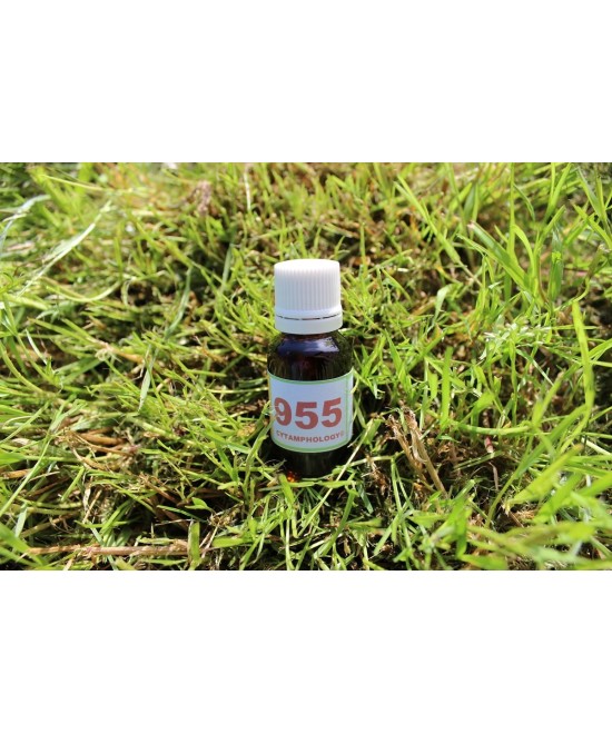 955 Herpès (HVS1 et HVS2) pour les animaux.