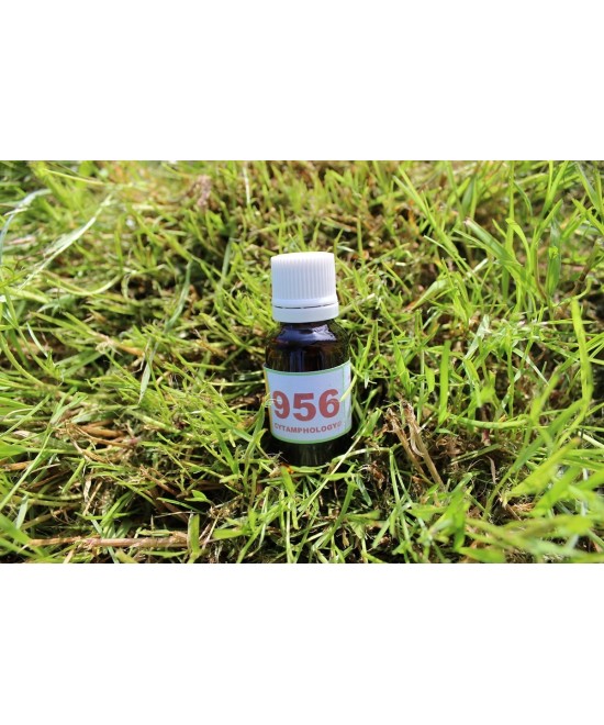 956 Coryza du chat - Polypes pour les animaux / A associer au 933.