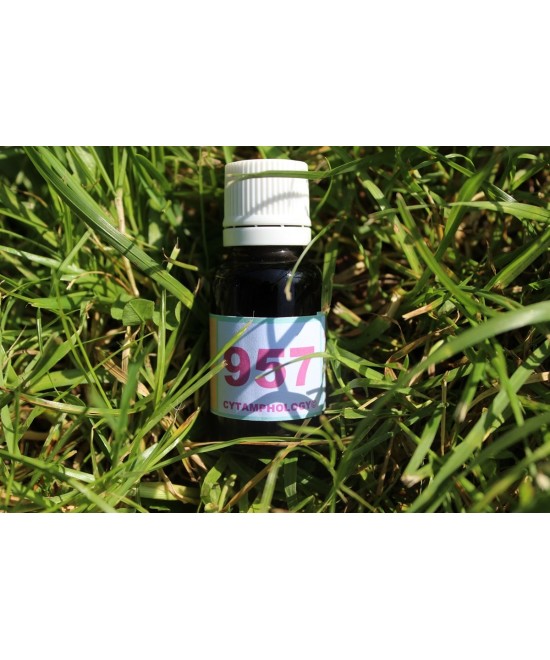 957 Polyarthrite rhumatoïde pour les animaux.