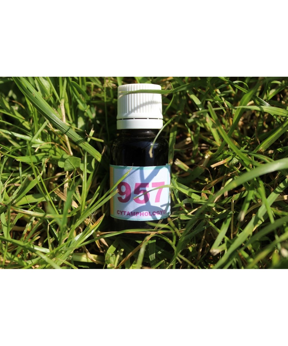 957 Polyarthrite rhumatoïde pour les animaux.