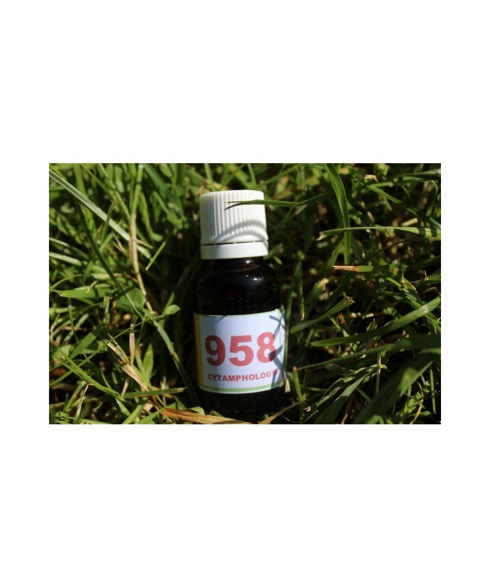 958 Fourbure du cheval + 948   pour les chevaux.