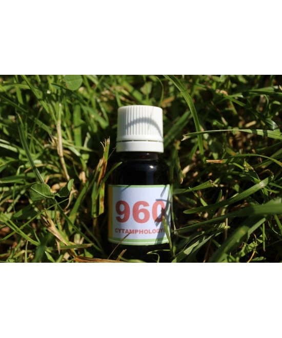 960 Inflammations...otites...  pour les animaux.