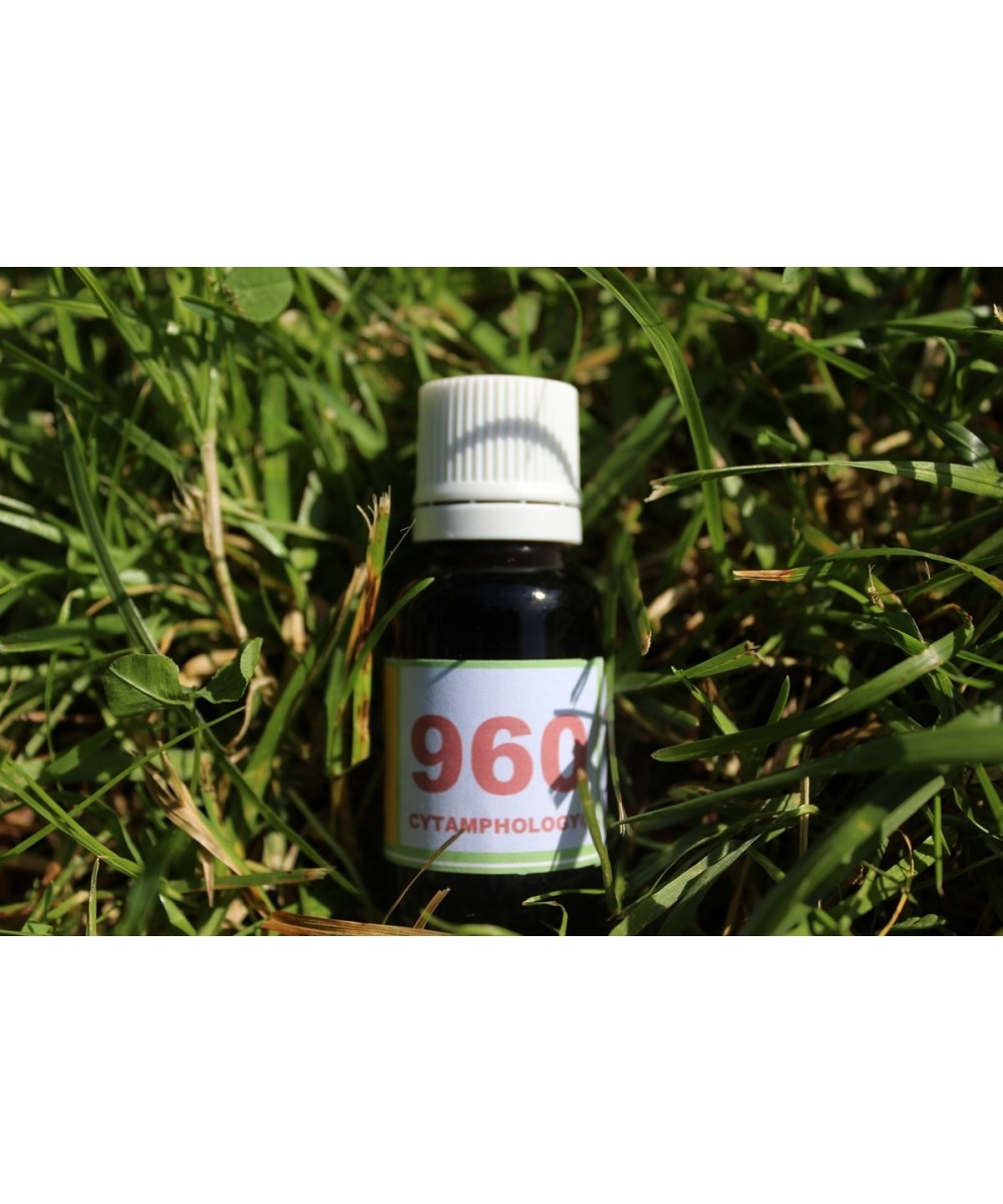 960 Inflammations...otites...  pour les animaux.