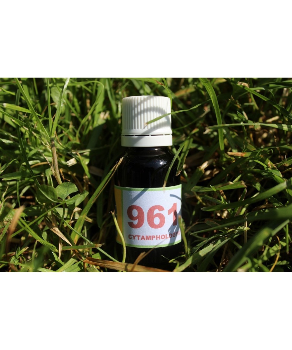 961 Hypersensibilité (angoisses et peurs) pour les animaux.