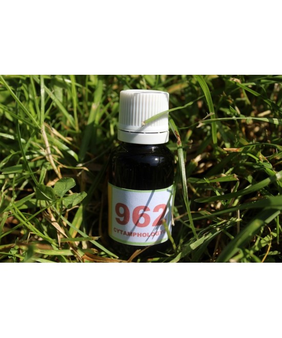 962 Post traumatisme, après accident....pour les animaux.