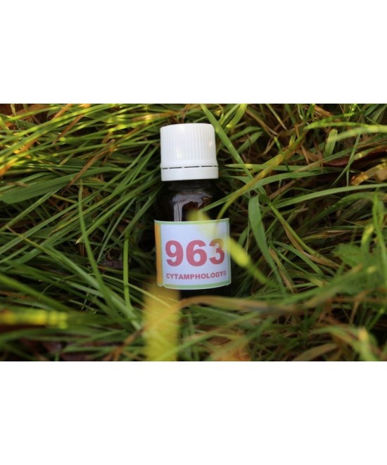 963 Répartition des énergies (SNC) pour les animaux.