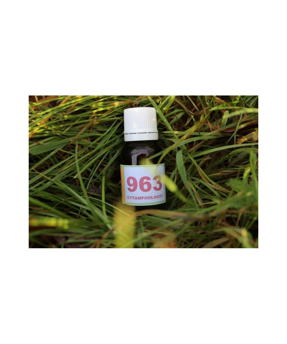 963 Répartition des énergies (SNC) pour les animaux.