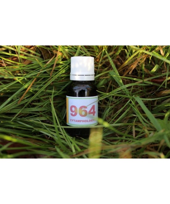 964 Amyloses et Amyloïdoses pour les animaux.