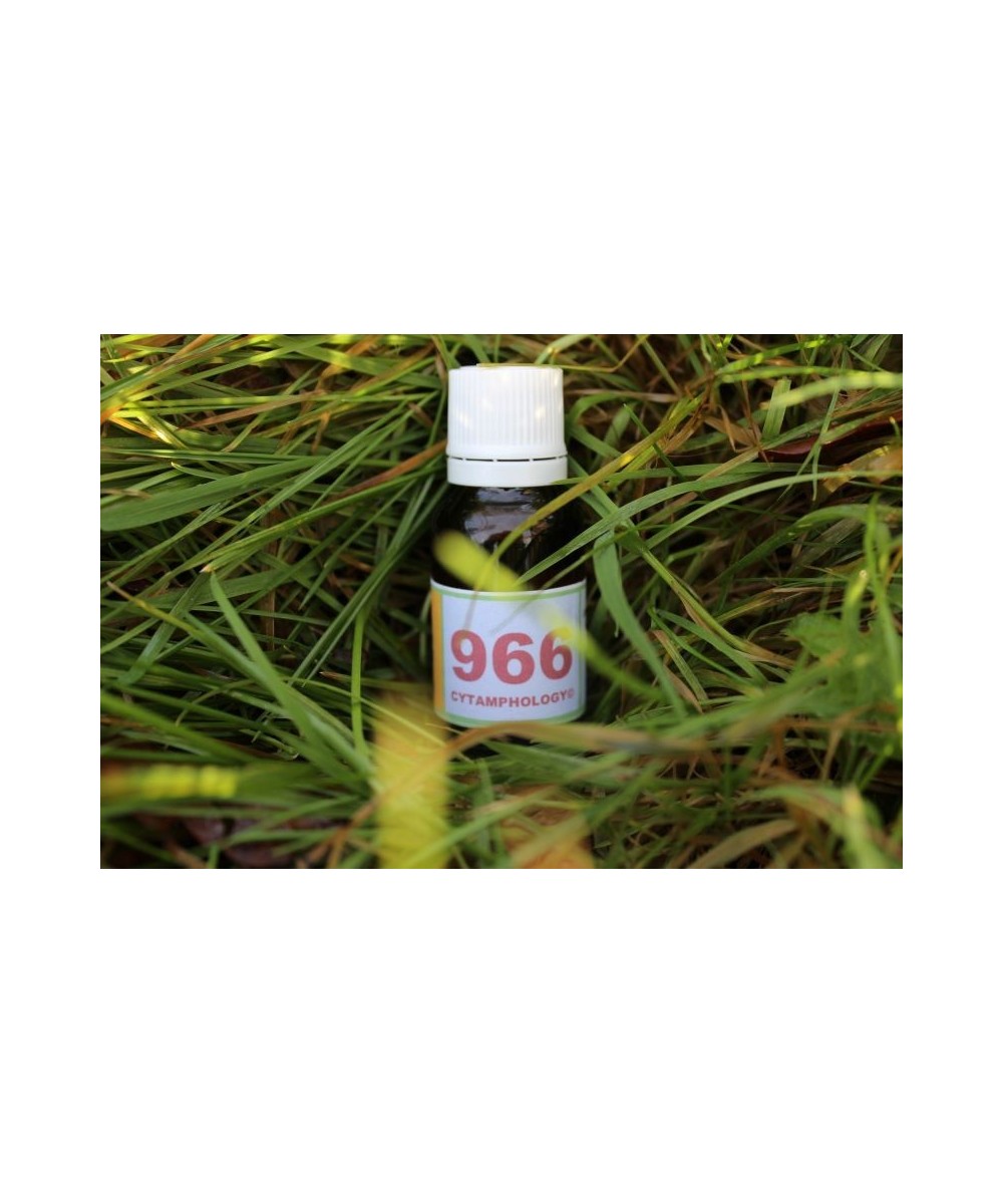 966 Tension artérielle pour les animaux.