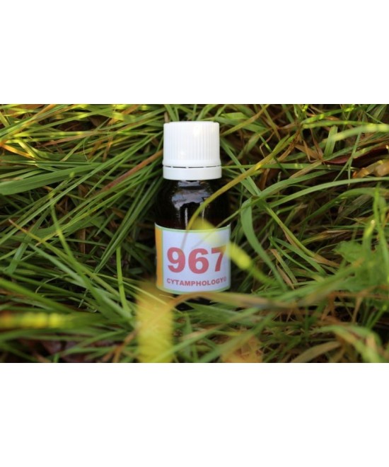 967 Cushing chien  (pour le chien).