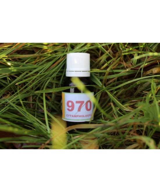 970 Diabète (1) (stabilise) pour les animaux.