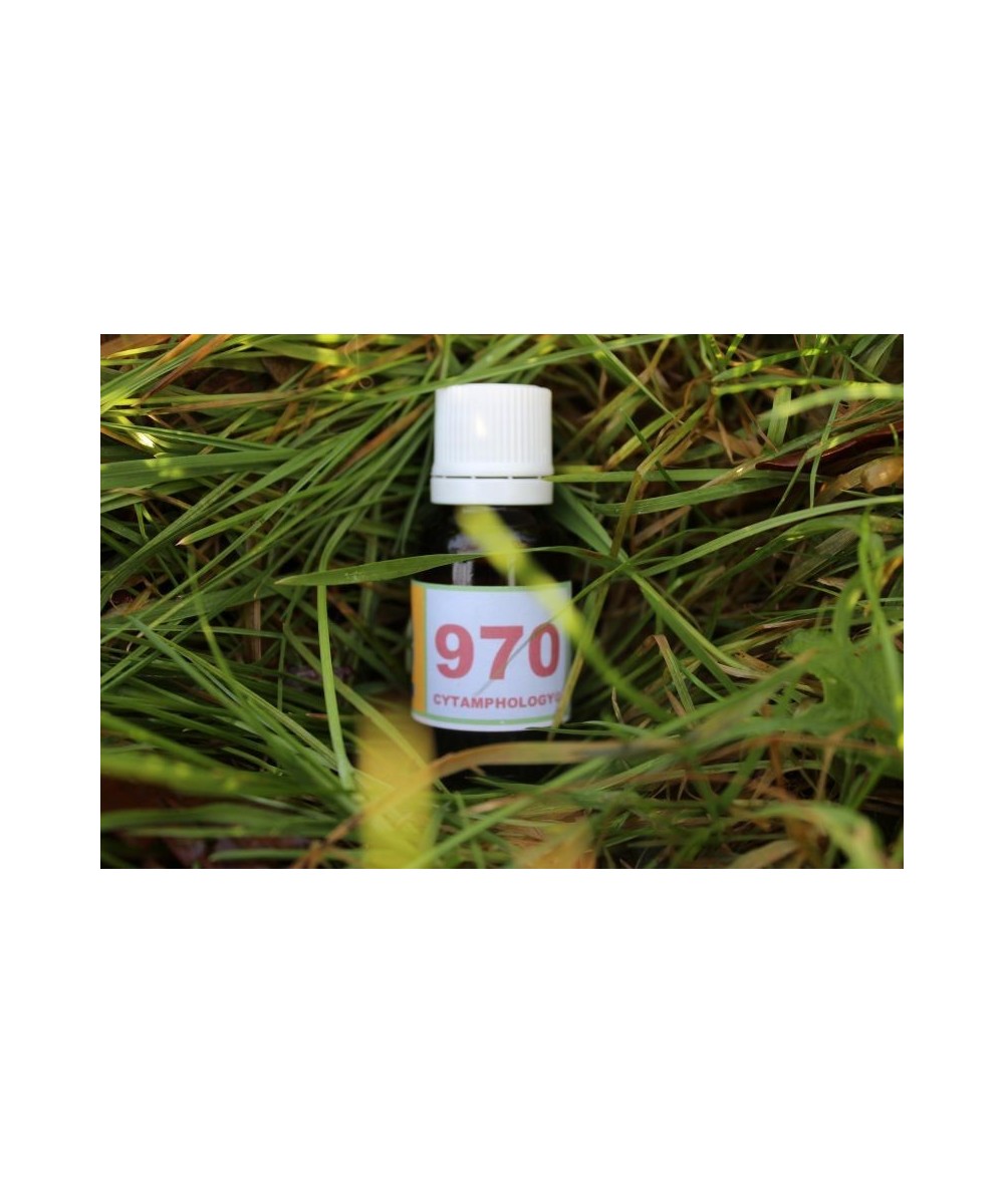 970 Diabète (1) (stabilise) pour les animaux.