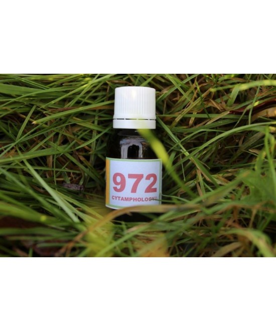 972 Anti-mycose pour les animaux.