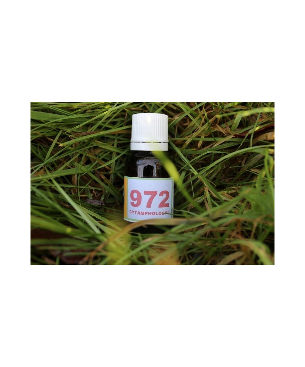 972 Anti-mycose pour les animaux.