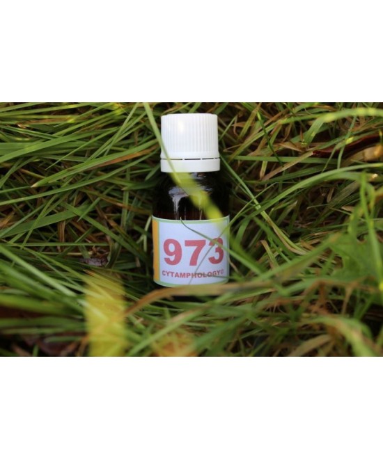 973 Trachéo-bronchite pour les animaux.