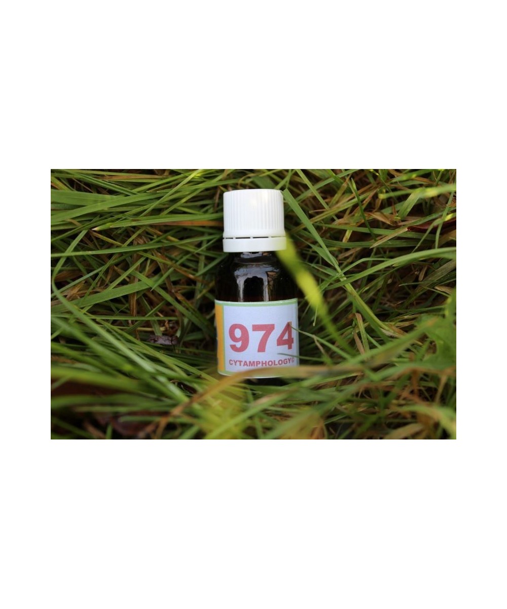 974 Vomissements pour les animaux.