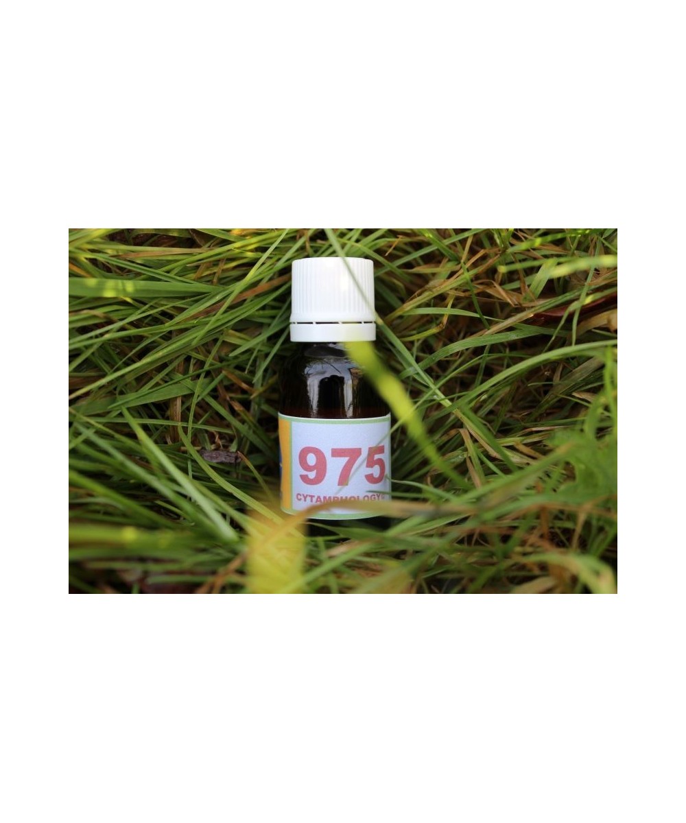 975 Hypo-thyroïdie (1) pour les animaux.