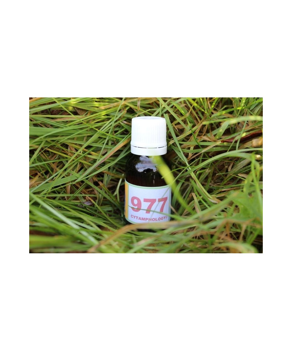 977 Hypo-thyroïdie (2) - équilibre des para-thyroides.