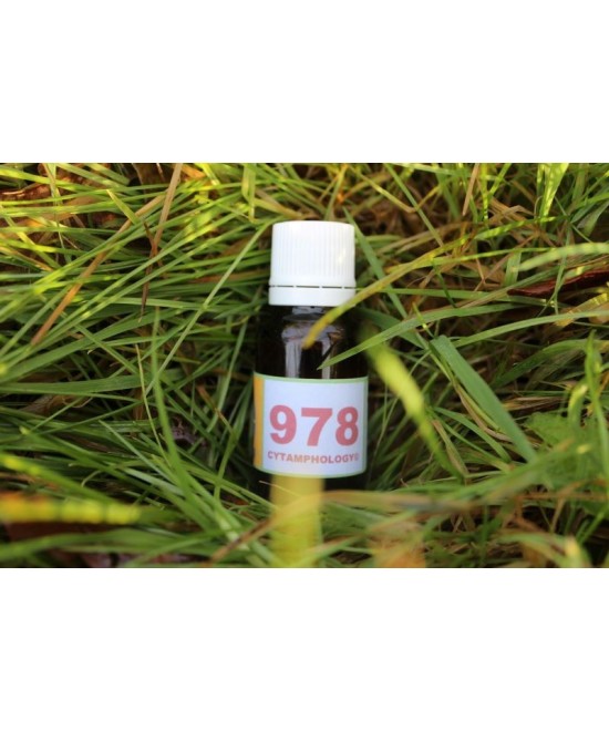 978 Inflammation des muqueuses pour les animaux.