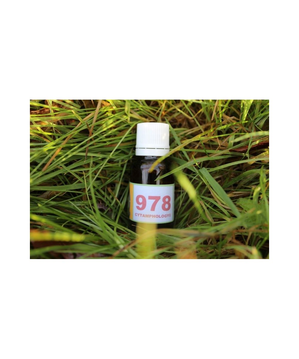 978 Inflammation des muqueuses pour les animaux.