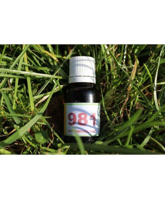 981 Régénérescence pour les animaux agés.