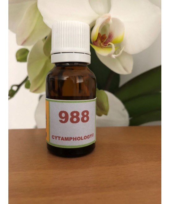 988 Cellules à cônes (oeil) pour les animaux.