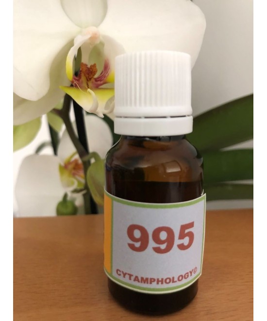 995 Les Récepteurs visuels, la rétine pour les animaux.