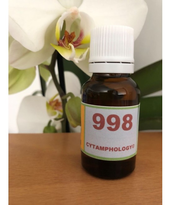 998  Le Détachement du passé pour les animaux.