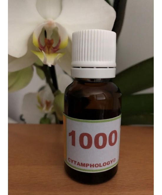 1000 La Dermatite atopique chez les animaux.