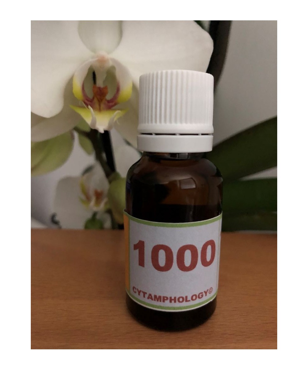 1000 La Dermatite atopique chez les animaux.