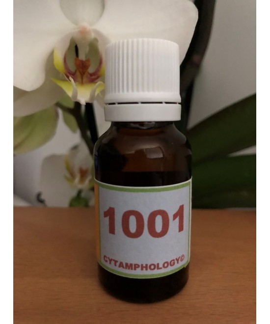 1001 Alopécie animale.