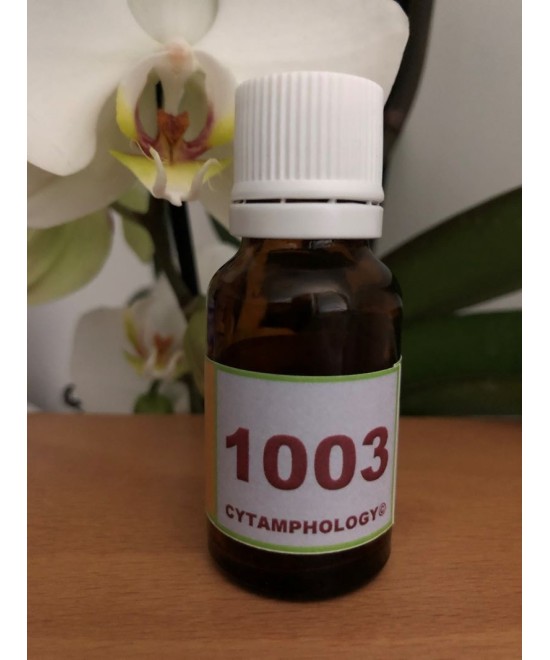 1003 L' Abandon pour les animaux.